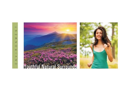 Balaji Manas Valley Brochure Image 8