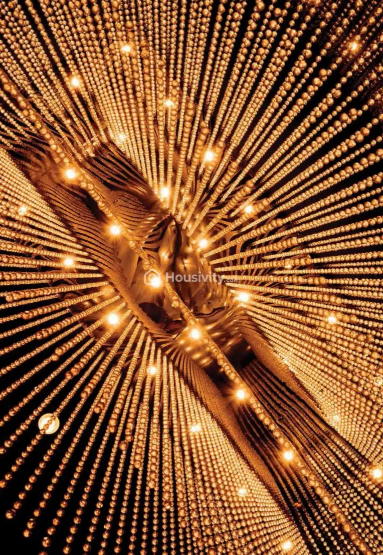 Pandit Manorama Image 8