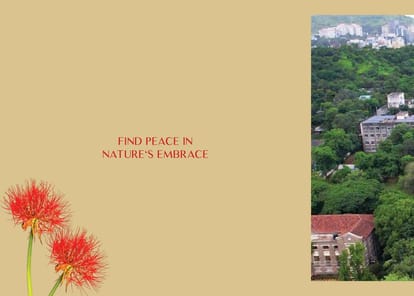 Pandit Mayflower Brochure Image 4