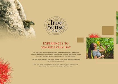 Pandit Mayflower Brochure Image 8