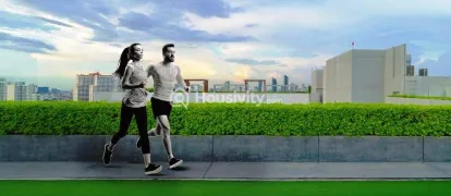 Spectrum Verdant Image 8