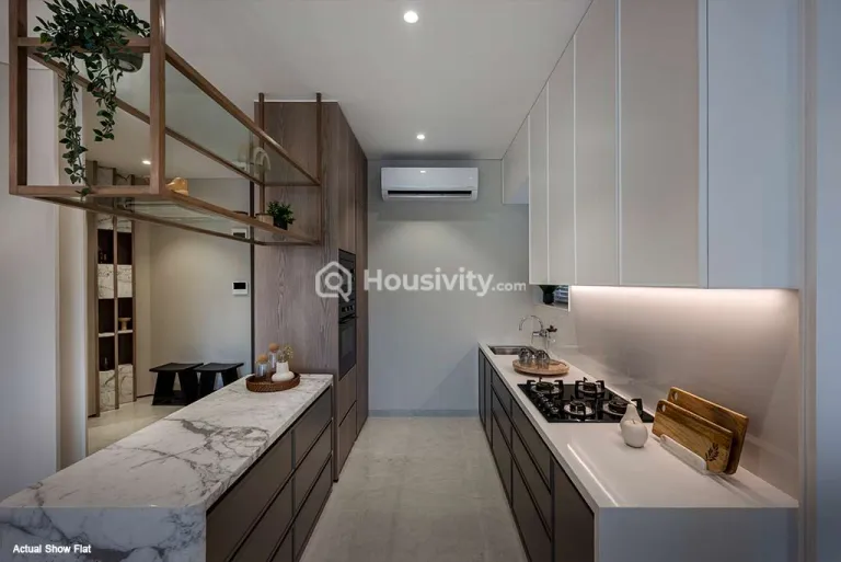 CCI Rivali Park Stargaze Image 12