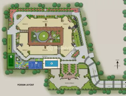 CCI Rivali Park Sunburst Image 4