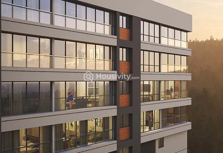 D&T Mountain View Image 8