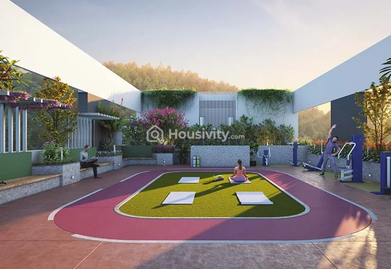 D&T Mountain View Image 3