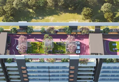 D&T Mountain View Image 4