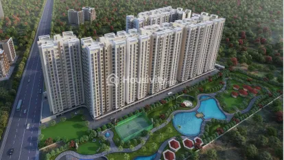 Silver Gardenia Image 5