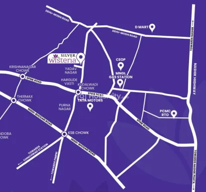 Silver Wisteria Image 6