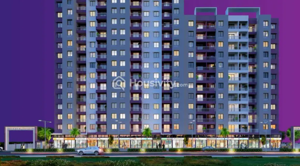 Silver Wisteria Image 4