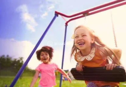 Silver Wisteria Image 5