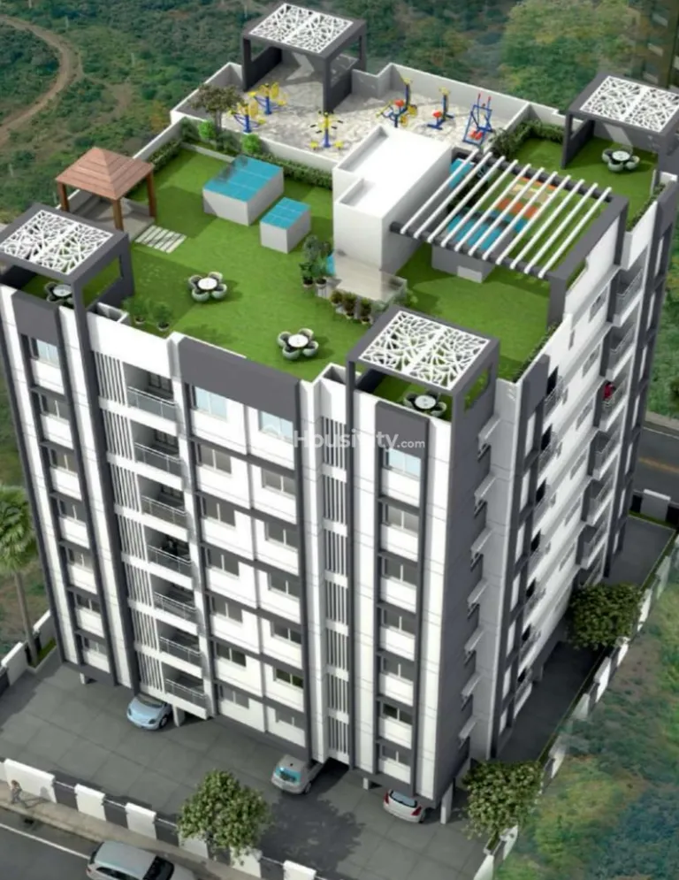 Silver Orchid Image 1