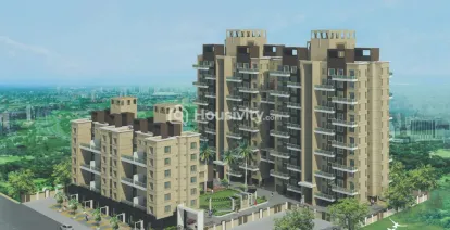 Alcon Signare Image 2