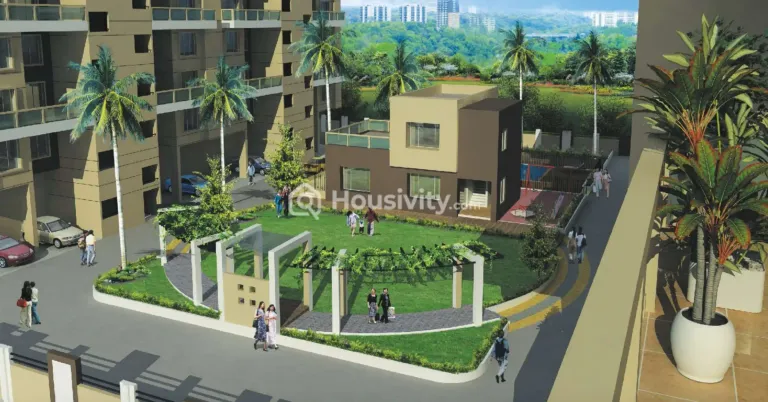 Alcon Signare Image 4