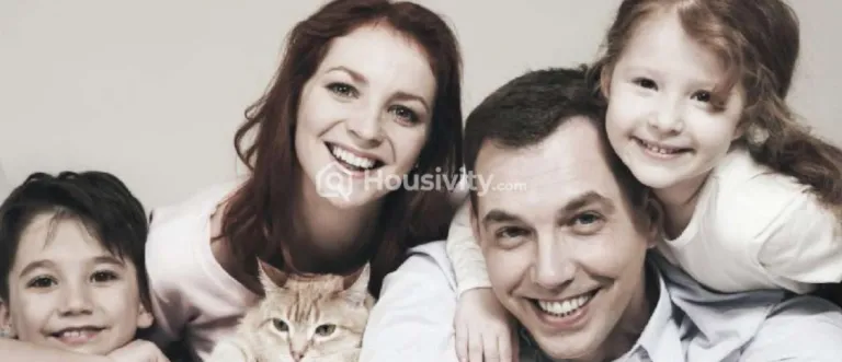 Alcon Signare Image 5