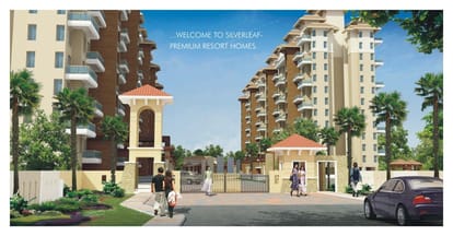 Alcon Silverleaf Brochure Image 5