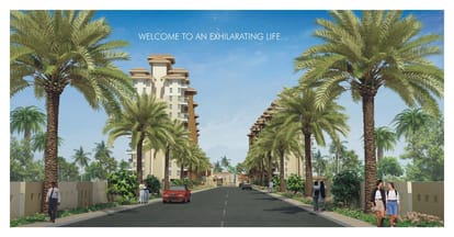 Alcon Silverleaf Brochure Image 4