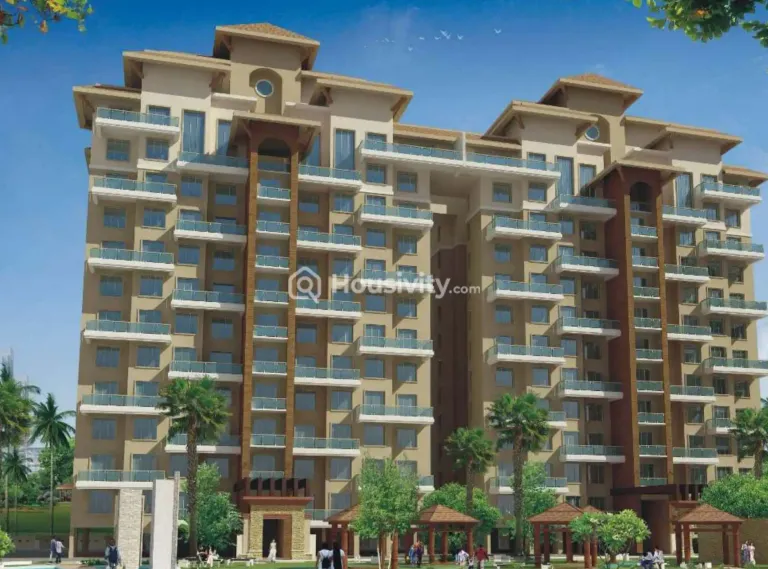 Alcon Silverleaf Image 2