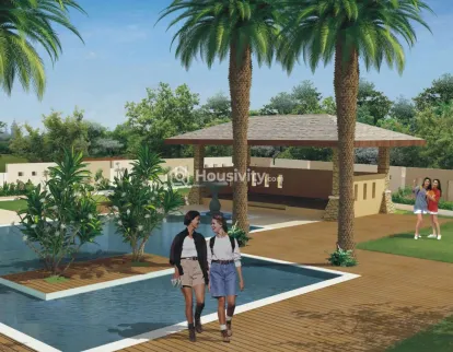 Alcon Silverleaf Image 6