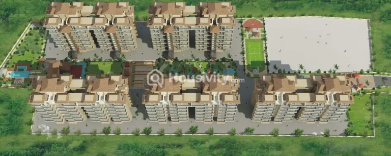 Alcon Silverleaf Image 3