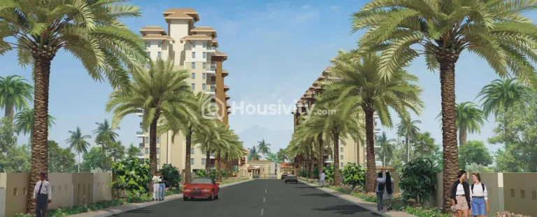 Alcon Silverleaf Image 5