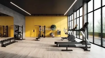 Alcon Stylus Image 2