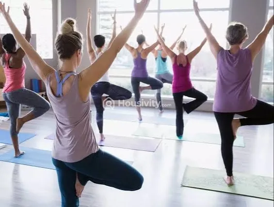 Alcon Stylus Image 3