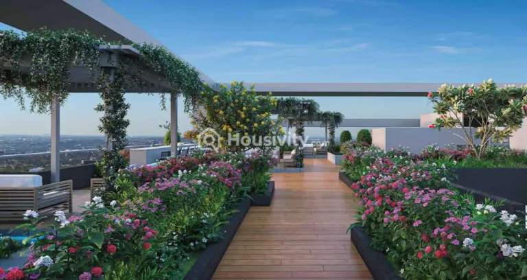 Pyramid Crown Eight Image 8