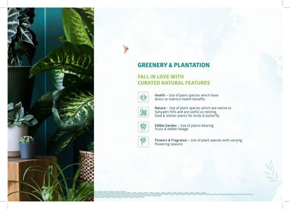 Sankla Sommet Brochure Image 17