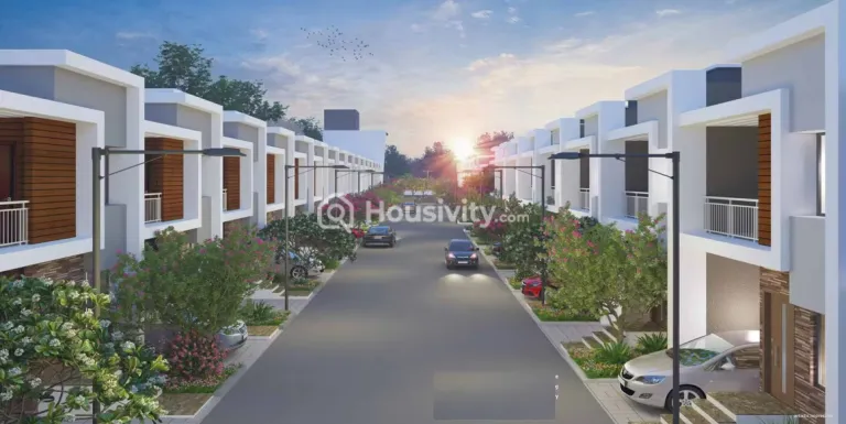 Yash Evana Thumbnail