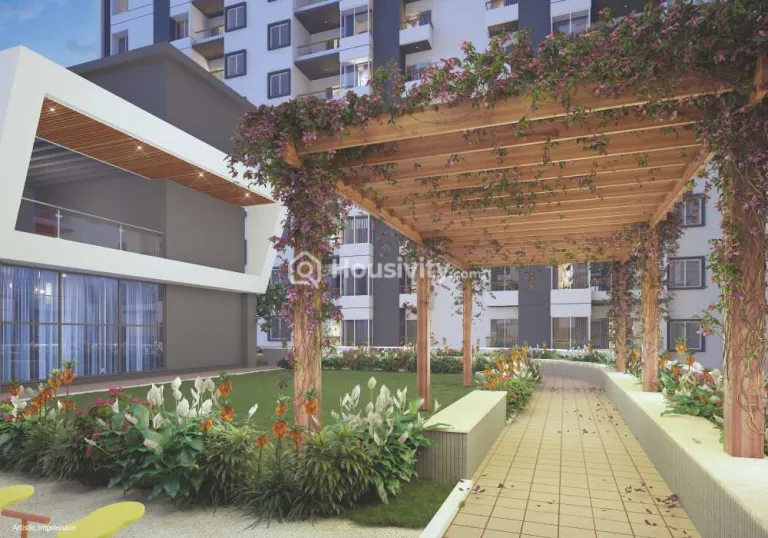 Yash Grecia Image 11