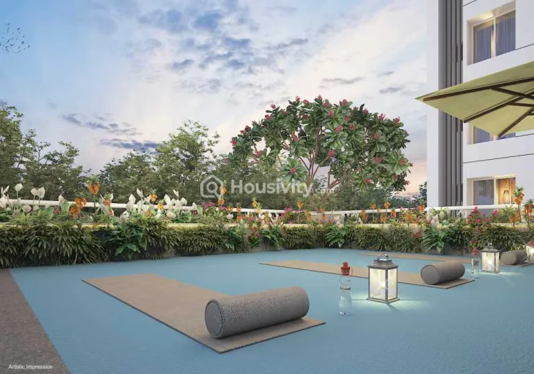 Yash Grecia Image 12