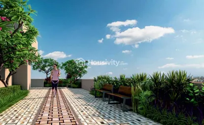 Dimples Westwood Image 5