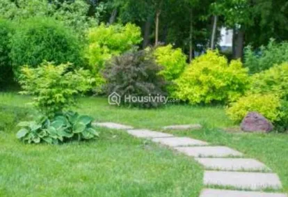 Mont Vert Grande Image 3