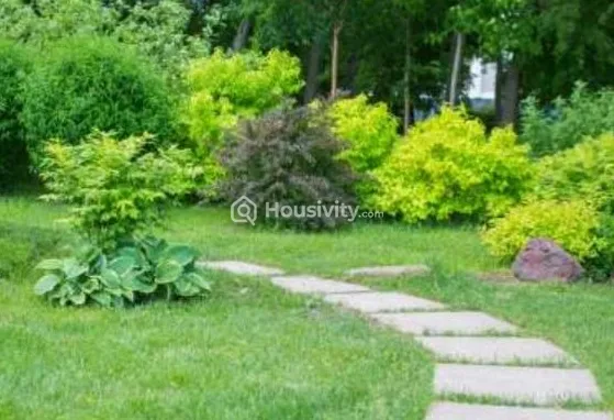 Mont Vert Grande Image 3