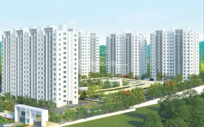 TCG Cliff Garden Image 3