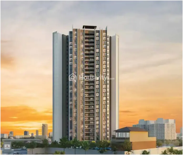 Malpani M Soul Strings Image 6