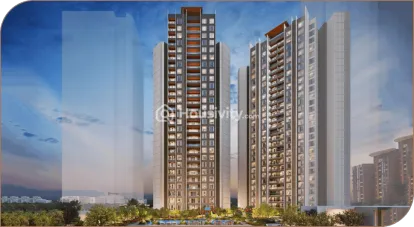 Malpani M Soul Strings Image 5