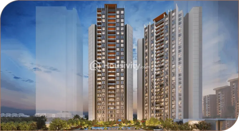 Malpani M Soul Strings Image 5