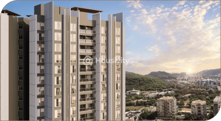 Malpani M Soul Strings Image 2