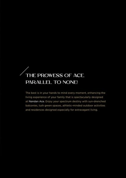 Nandan Ace Brochure Image 9
