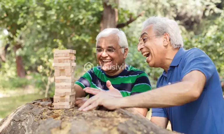 Shreeji Solitaire Image 4