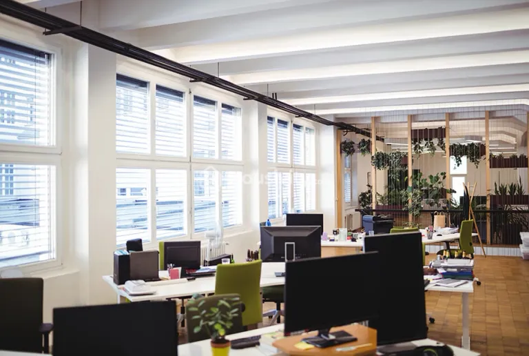 Origin Rock Highland Image 8