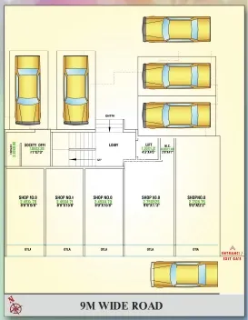 Sarang Plumbago Image 4