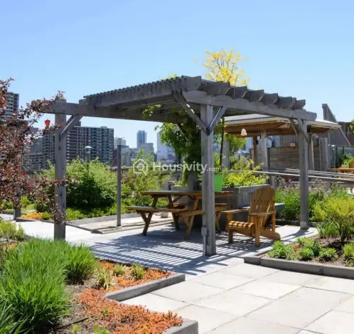 Modi Wisteria Image 4