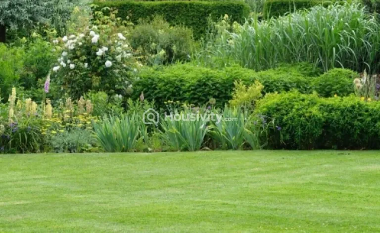 Jindal Avenue Image 5