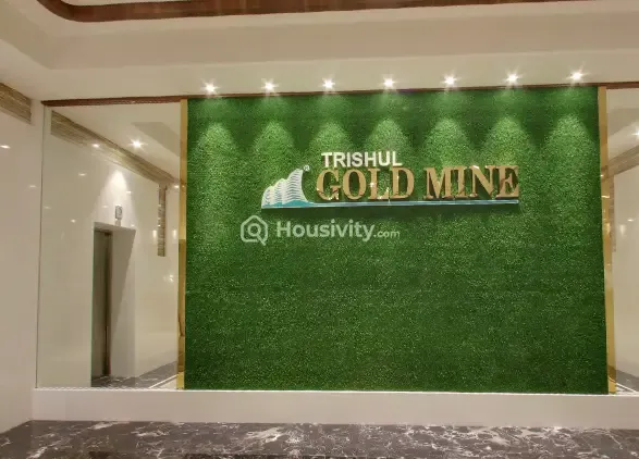 Trishul Gold Mine Image 2