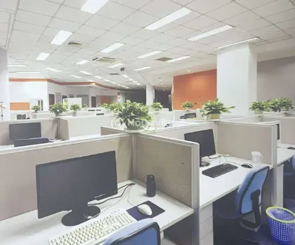 Trishul Gold Field Image 5