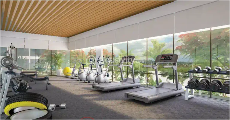 Gulmohar Esteban Image 5