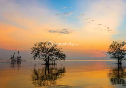 Neel West Wind Image 6