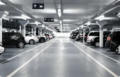 Dream Meadows Image 5